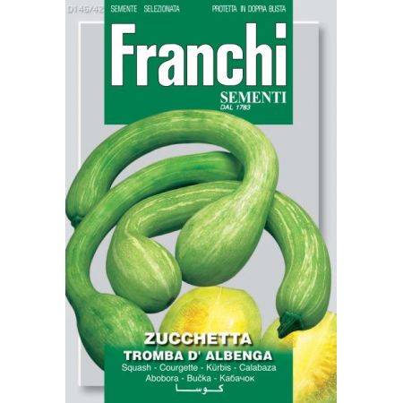 Squash Tromba D'Albenga