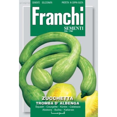 Squash Tromba D'Albenga
