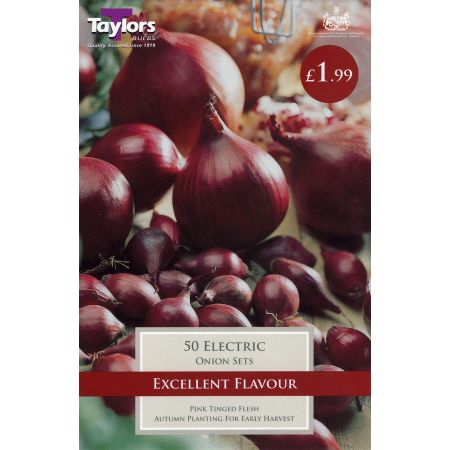 Onion Electric