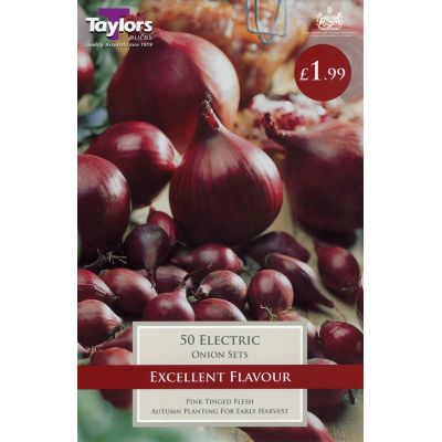 Onion Electric