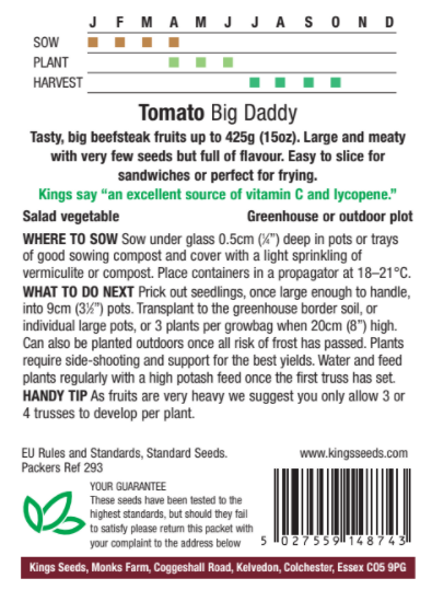 Tomato Big Daddy - image 2