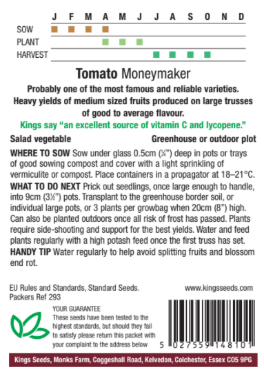 Tomato Moneymaker - image 2