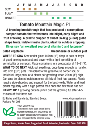 Tomato Mountain Magic F1 - image 2