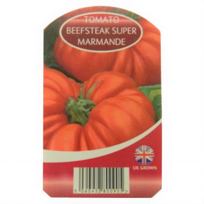 Tomato Pot Plant - Beefsteak (Super Marmande)