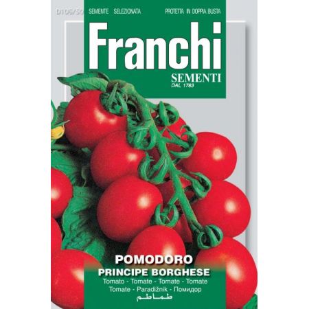 Tomato Principe Borghese