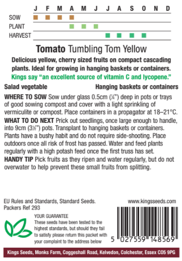 Tomato Tumbling Tom Yellow - image 2