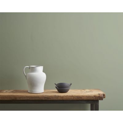 Annie Sloan Wall Paint 120ml Terre Verte - image 3