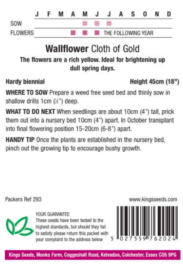 Wallflower Cloth Of Gold - image 2