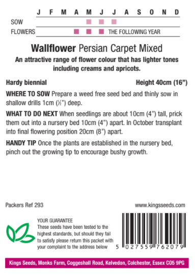 Wallflower Persian Carpet Mixed - image 2