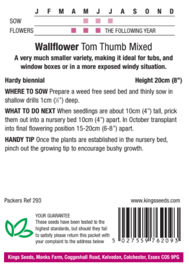 Wallflower Tom Thumb Mixed - image 2