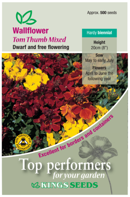 Wallflower Tom Thumb Mixed - image 1