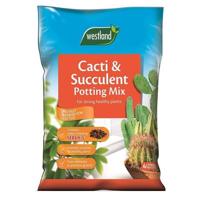 Westland Cacti & Succulent Potting Mix (Enriched With Seramis)