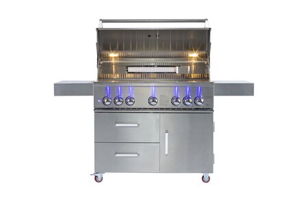 Whistler Bibury 5, 42" Freestanding Grill - image 3