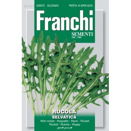 Wild Rocket
