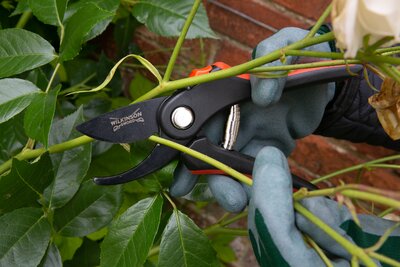 Bypass Pruner - image 2