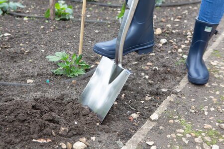 Digging Spade - image 2