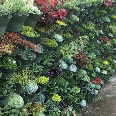 Wonderwall Vertical Self Watering Planter - image 4